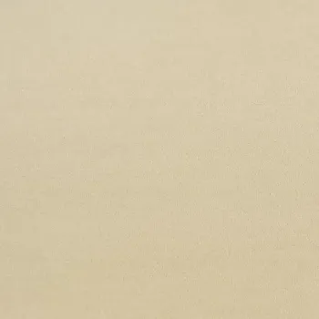 Preview: Girloon Standard Webware 2 m Farbe beige – Draufsicht des Teppichbodens